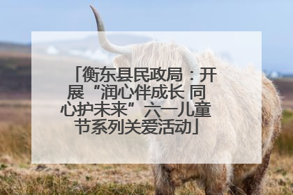 衡东县民政局：开展“润心伴成长 同心护未来”六一儿童节系列关爱活动