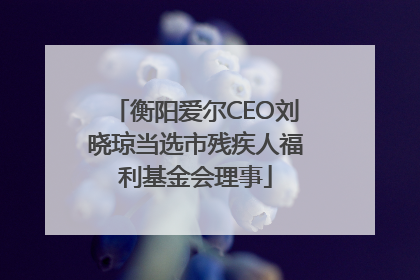 衡阳爱尔CEO刘晓琼当选市残疾人福利基金会理事