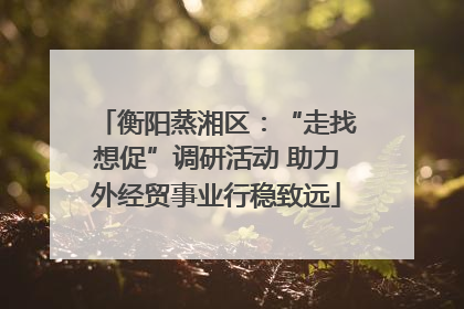 衡阳蒸湘区：“走找想促”调研活动 助力外经贸事业行稳致远