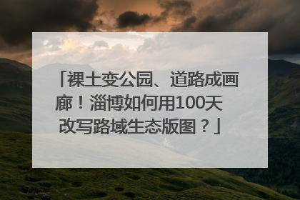 裸土变公园、道路成画廊！淄博如何用100天改写路域生态版图？