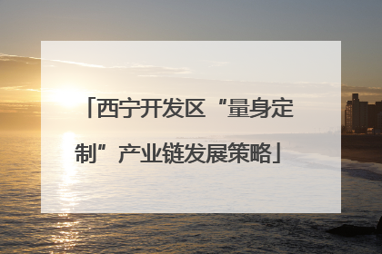 西宁开发区“量身定制”产业链发展策略