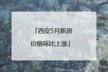西安5月新房价格环比上涨