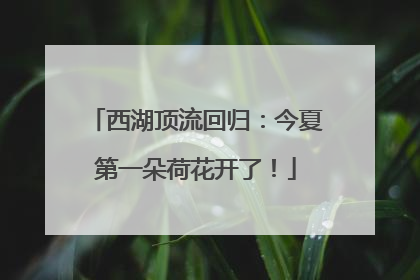 西湖顶流回归：今夏第一朵荷花开了！