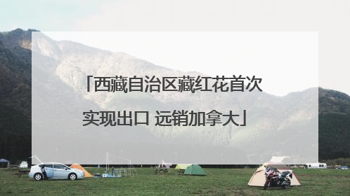 西藏自治区藏红花首次实现出口 远销加拿大