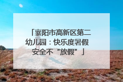 襄阳市高新区第二幼儿园：快乐度暑假 安全不“放假”