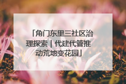 角门东里三社区治理探索｜代建代管推动荒地变花园