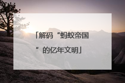 解码“蚂蚁帝国”的亿年文明