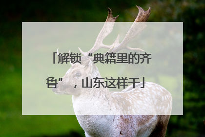 解锁“典籍里的齐鲁”，山东这样干