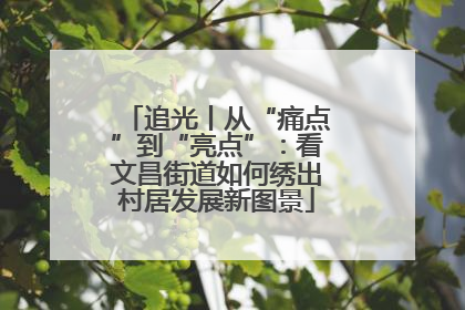 追光丨从“痛点”到“亮点”：看文昌街道如何绣出村居发展新图景