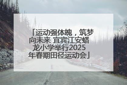 运动强体魄，筑梦向未来 宜宾江安蟠龙小学举行2025年春期田径运动会