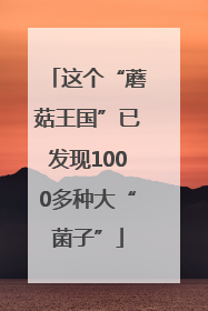 这个“蘑菇王国”已发现1000多种大“菌子”
