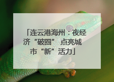 连云港海州：夜经济“破圈” 点亮城市“新”活力