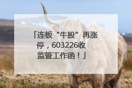 连板“牛股”再涨停，603226收监管工作函！