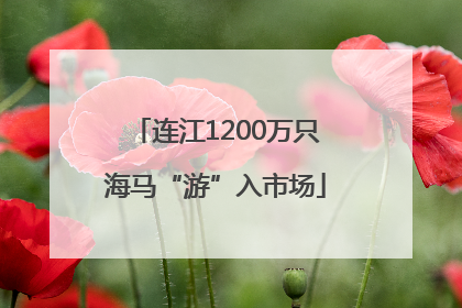 连江1200万只海马“游”入市场