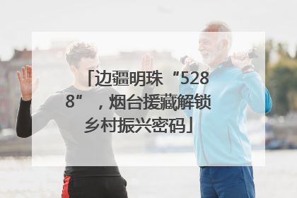 边疆明珠“5288”，烟台援藏解锁乡村振兴密码
