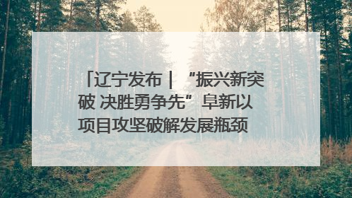 辽宁发布｜“振兴新突破 决胜勇争先”阜新以项目攻坚破解发展瓶颈 经济发展实现良好开局