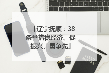 辽宁抚顺：38条举措稳经济、促振兴、勇争先