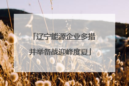 辽宁能源企业多措并举备战迎峰度夏