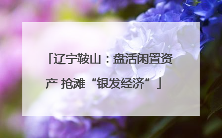 辽宁鞍山：盘活闲置资产 抢滩“银发经济”