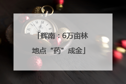辉南：6万亩林地点“药”成金