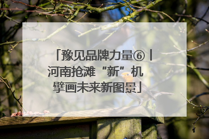 豫见品牌力量⑥丨河南抢滩“新”机 擘画未来新图景