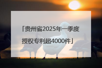 贵州省2025年一季度授权专利超4000件