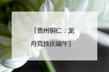 贵州铜仁：龙舟竞技庆端午