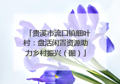 贵溪市流口镇细叶村：盘活闲置资源助力乡村振兴（图）