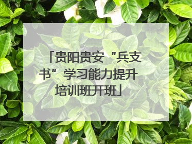 贵阳贵安“兵支书”学习能力提升培训班开班