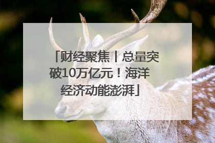 财经聚焦丨总量突破10万亿元！海洋经济动能澎湃
