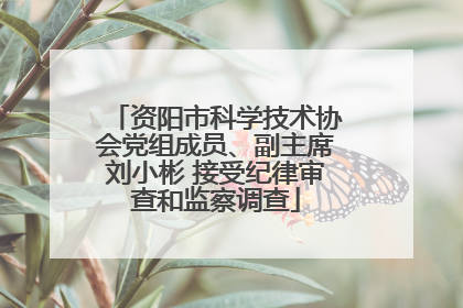 资阳市科学技术协会党组成员、副主席刘小彬 接受纪律审查和监察调查