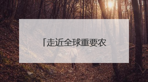 走近全球重要农业文化遗产皋兰什川古梨园系统 守护生态瑰宝 激活发展动能
