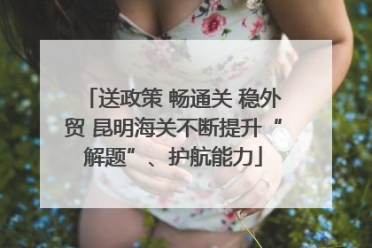 送政策 畅通关 稳外贸 昆明海关不断提升“解题”、护航能力