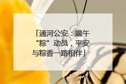 通河公安：端午“粽”动员，平安与粽香一路相伴