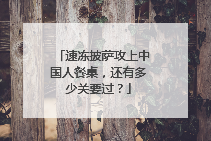 速冻披萨攻上中国人餐桌，还有多少关要过？
