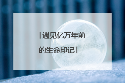 遇见亿万年前的生命印记