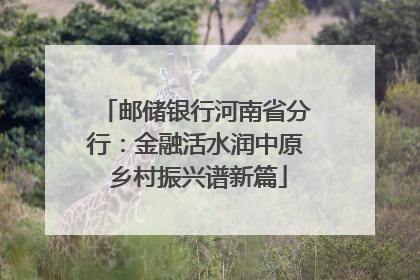 邮储银行河南省分行：金融活水润中原 乡村振兴谱新篇