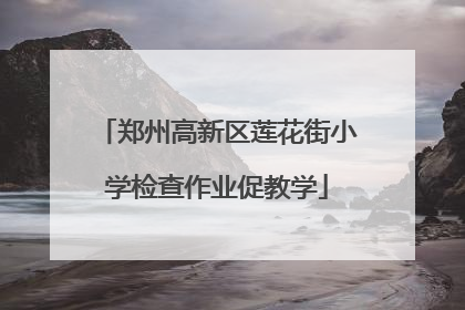 郑州高新区莲花街小学检查作业促教学