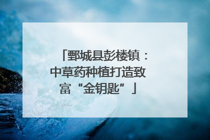 鄄城县彭楼镇：中草药种植打造致富“金钥匙”
