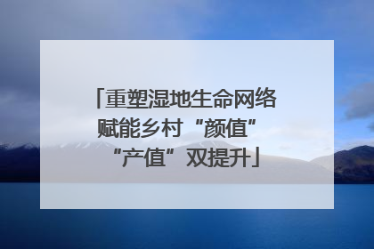 重塑湿地生命网络 赋能乡村“颜值”“产值”双提升