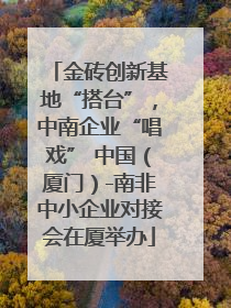 金砖创新基地“搭台”，中南企业“唱戏” 中国（厦门）-南非中小企业对接会在厦举办