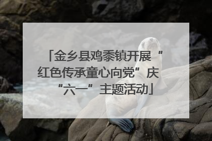 金乡县鸡黍镇开展“红色传承童心向党”庆“六一”主题活动
