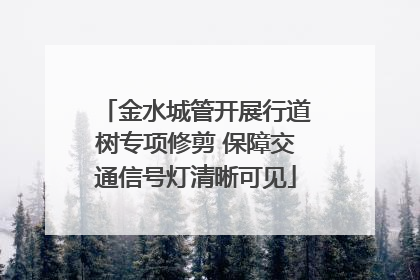 金水城管开展行道树专项修剪 保障交通信号灯清晰可见