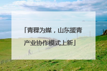 青稞为媒，山东援青产业协作模式上新