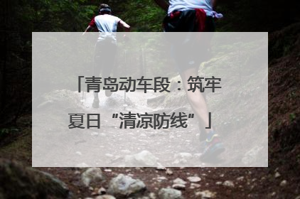 青岛动车段：筑牢夏日“清凉防线”