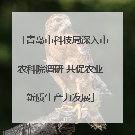 青岛市科技局深入市农科院调研 共促农业新质生产力发展