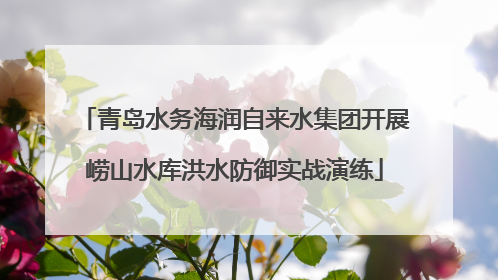 青岛水务海润自来水集团开展崂山水库洪水防御实战演练