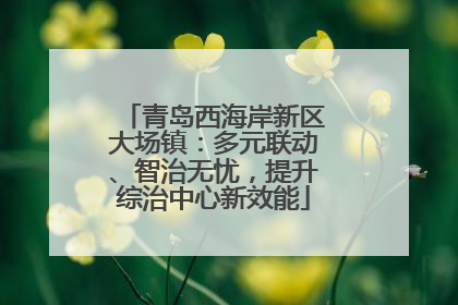 青岛西海岸新区大场镇：多元联动、智治无忧，提升综治中心新效能