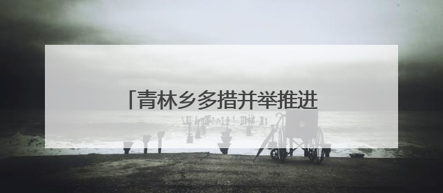 青林乡多措并举推进“两清两改两治理”