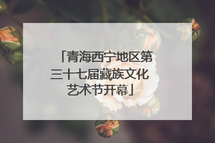 青海西宁地区第三十七届藏族文化艺术节开幕